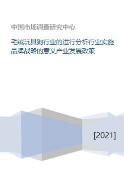 .RS域名的政策背景与战略意义