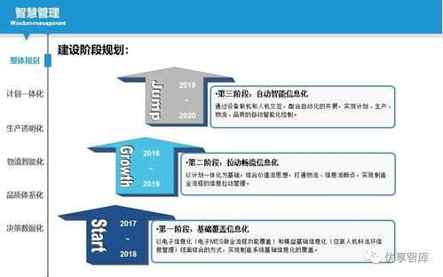 DIGITAL计划的实施路径