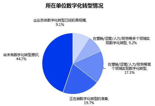 纺织业数字化转型中的域名应用