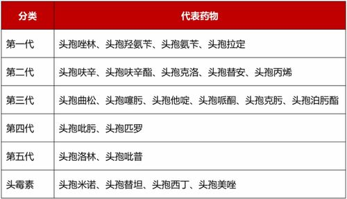 提升COUPON域名促销成功率的五大策略