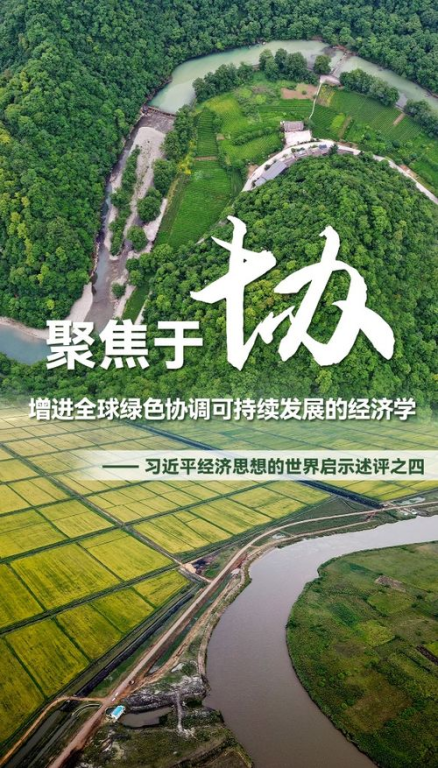 雪松经济的可持续发展启示