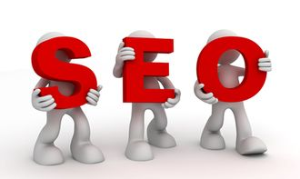 SOFTWARE开发者专用域名的SEO优势