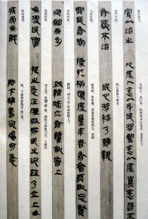 《简牍探中华》：穿越千年的文字密码，揭开中