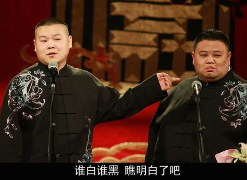《德云社张鹤伦郎鹤炎相声专场上海站2024：笑料