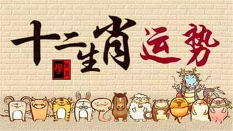 《2024开运救兵》：这部贺岁喜剧能否成为你的新