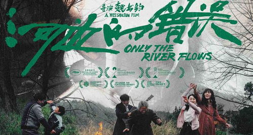 《世界养生组织》：一部颠覆你对健康认知的黑