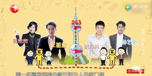《偶然的社长第二季》：治愈系韩综如何再次俘