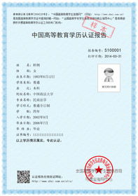 Clarifying the English Full Name of 汉语国际教育