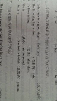 汉语的英文缩写的定义与应用