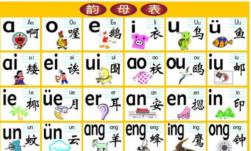 汉语拼音声母的基础知识