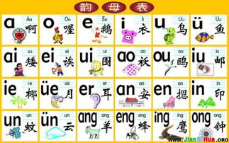 基础概念解析：声母和韵母