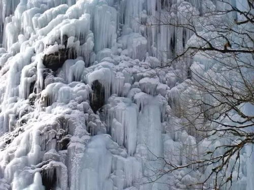 《雪线之上》：一场冰封世界的生死博弈
