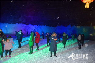 《雪鹰》：一部震撼人心的冰雪冒险史诗