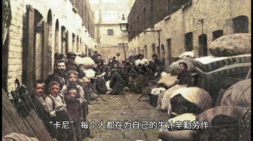 《雀起乡到烛镇 第二季》：田园牧歌还是暗流涌