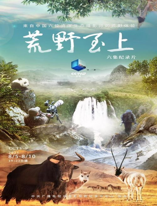 《雪狼》：一部震撼人心的荒野生存史诗
