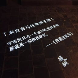 《随性第二季》：这部小众美剧为何能引发观众