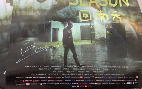 《隐菊》：一部被遗忘的文艺片，为何在十年后