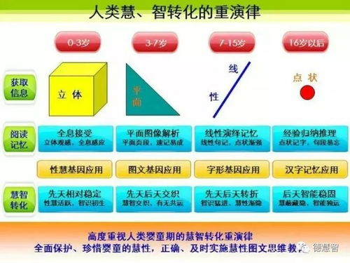 《陪审义务第一季》：一场荒诞与真实交织的法
