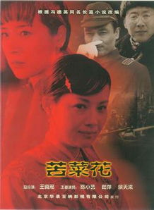 《铁道游击队2005》：红色经典的新时代演绎