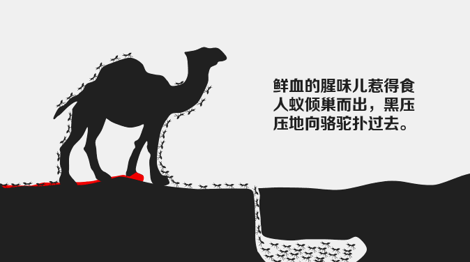 《骆驼说话了》：荒诞喜剧背后的人性寓言