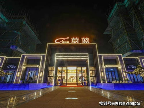 《马德琳·柯林斯》：一场关于身份与谎言的灵魂