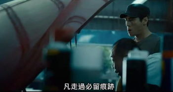 食人鲨 Piranha Sharks：当食人鱼遇上大白鲨，谁才