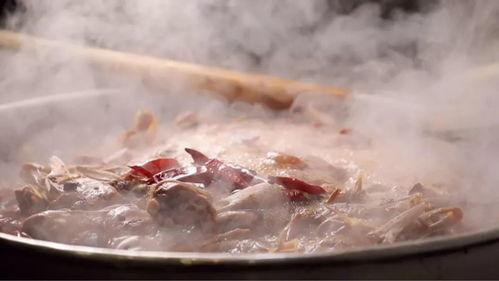 《食神八戒》：当猪八戒遇上米其林，是美食还