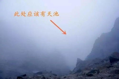 风雨天池寺：一部被遗忘的武侠经典，还是被高