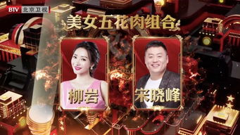 《风骚俏佳人2》：性感与智慧的完美碰撞，还是