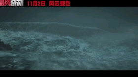 《飓风奇劫2018》：灾难与犯罪的完美风暴？