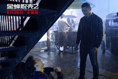 《飓风营救2》：连姆·尼森再掀动作狂潮，父爱