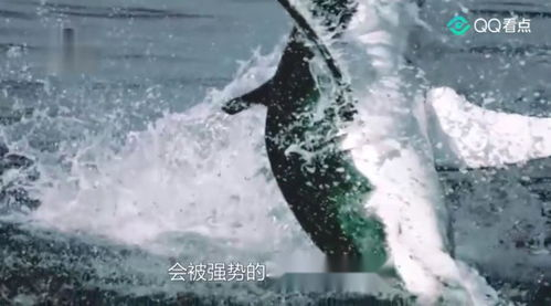 《颤栗汪洋2》：深海恐惧还是人性试炼？这部续