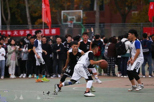 《风云高手》：篮球场上的热血青春与成长蜕变