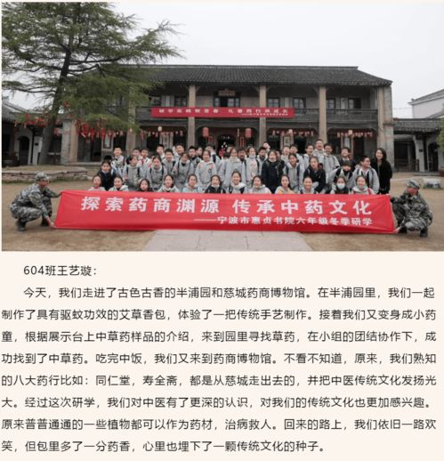 《面朝大海》：一场关于梦想与现实的诗意碰撞