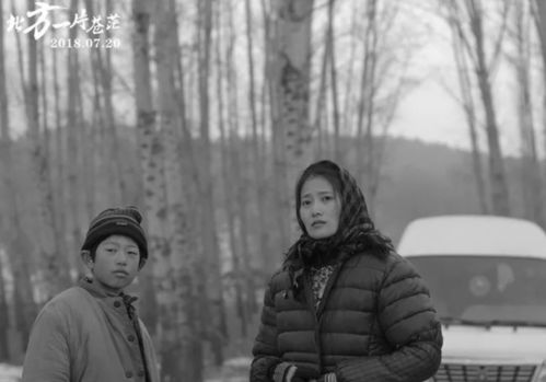 《顶牛》：一部被低估的黑色幽默神作？