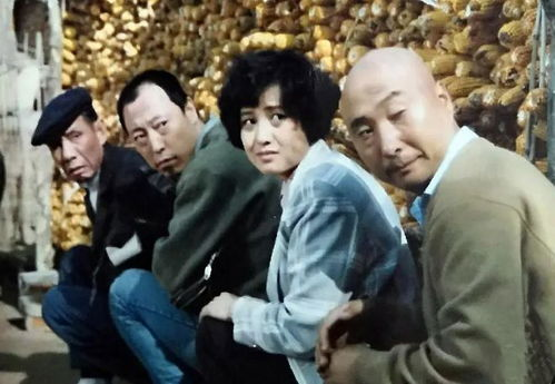 《非常家务事》：当鸡毛蒜皮变成爆笑修罗场，