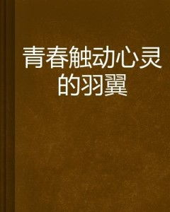 《青春的应答》：一部关于成长与自我救赎的青