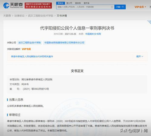 Pandownload的开发者：一个技术爱好者的崛起与陨落