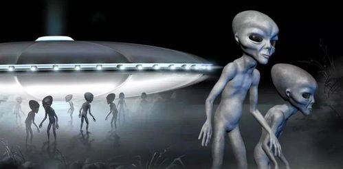 《我逛了外星人超市》：一部荒诞又治愈的科幻