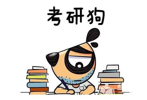 《我爸的学生都是大佬》：这部校园喜剧为何让