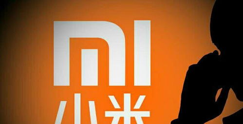 《我打造了纯国产红蒙系统》：国产科技之光还