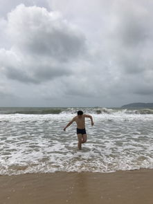 《萨米大冒险2》：小海龟的奇幻漂流，还是环保