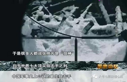 《蓝海少女第二季》：治愈系潜水番为何让人欲