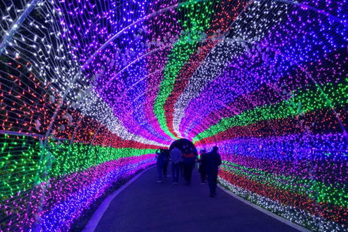 《芭比之圣诞颂歌》：一场梦幻与温情的圣诞奇