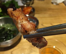 《菲尔来蹭饭第三季》：美食与冒险的完美碰撞