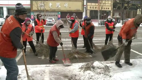 《东北插班生-老铁我们来了》：东北话遇上南方