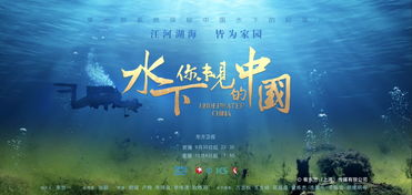 《探索·发现：南海一号发现记》：沉睡千年的海