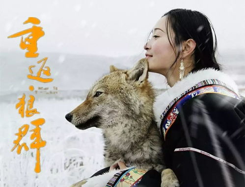 《我家的野生动物第一季》：当动物成为家人，