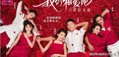《我家那小子第一季》：明星家庭的真实生活大