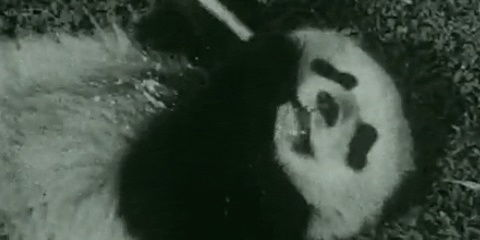 《越南战争》：一场被镜头定格的民族伤痕与人